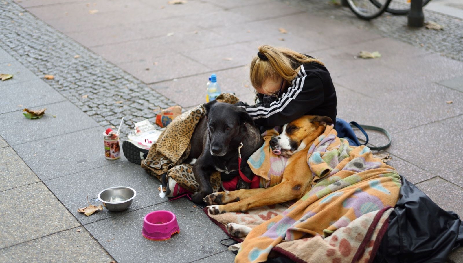 Almanya’da 2,2 milyon çocuk ve genç, geçen yılı “yoksulluk sınırında” geçirdi