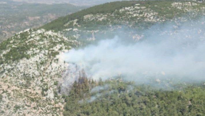 Milas’taki orman yangını kontrol altında
