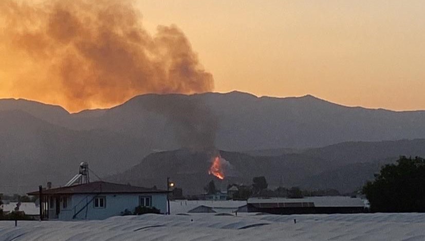 Muğla’da makilik alanda çıkan yangın kontrol altına alındı: Bir kişi gözaltında