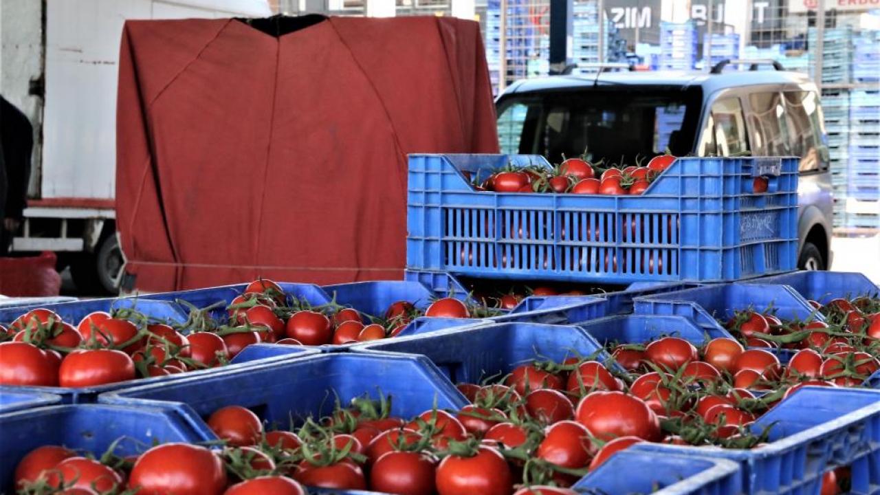 Rusya’nın ”domates” kararı Türkiye’nin ihracat rakamlarına olumlu yansıyacak
