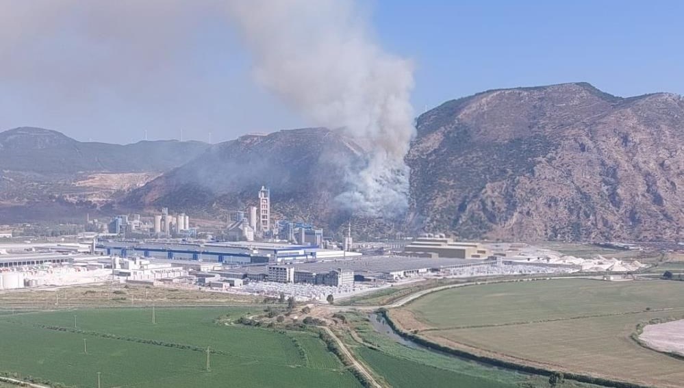 Söke’de orman yangını (15 hektar alan zarar gördü)