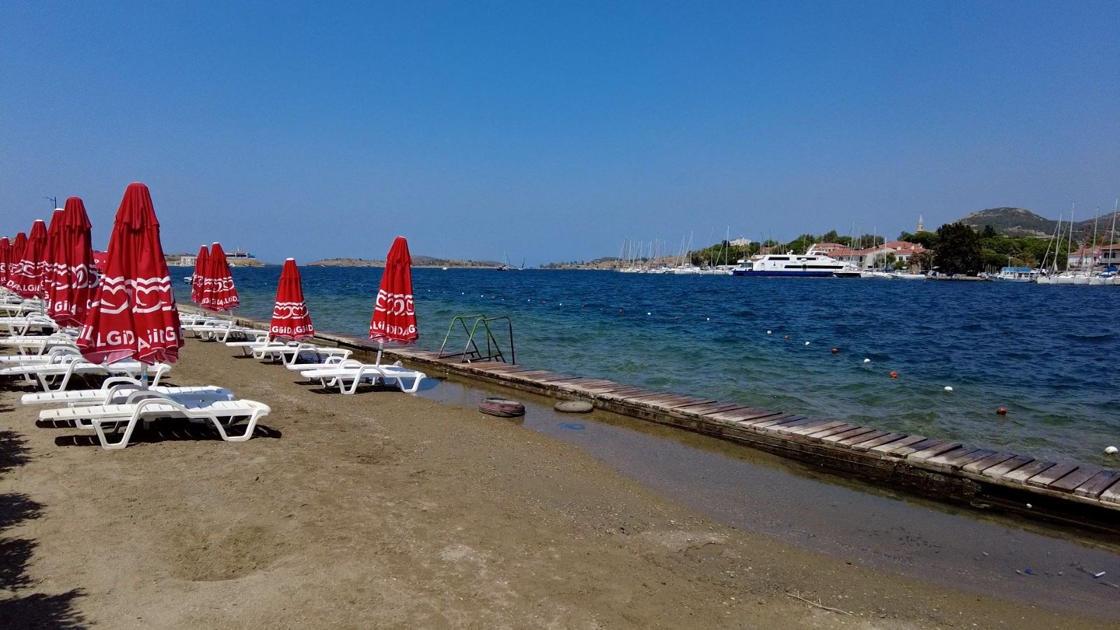 Foça’da plajları denizanası vurdu