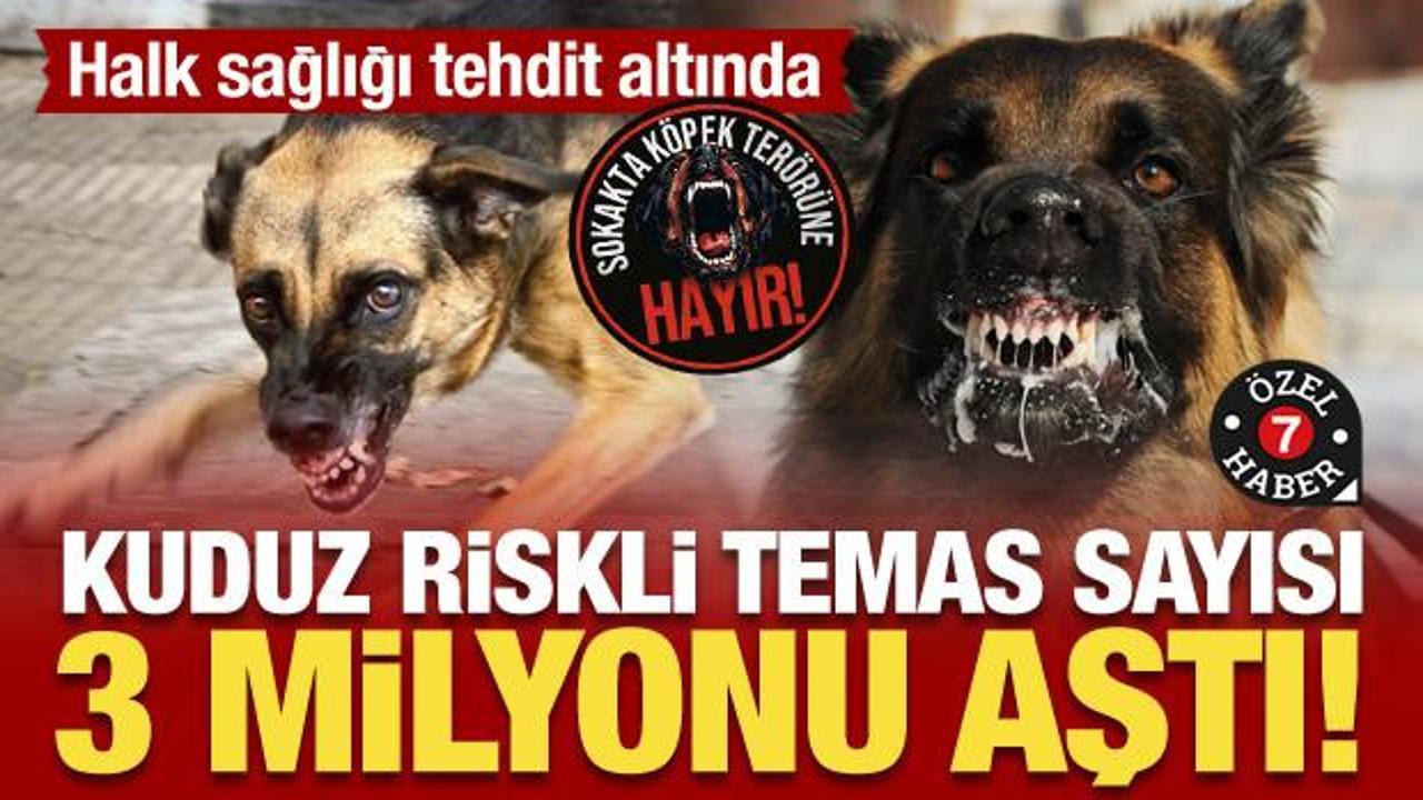 Halk sağlığı tehdit altında: Kuduz riskli temas sayısı 3 milyonu aştı!