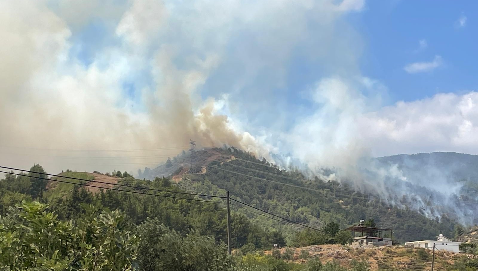 Hatay ve Balıkesir’deki orman yangınları kontrol altında