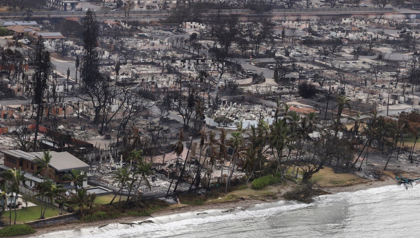 Hawaii’deki orman yangınında 338 kişi halen kayıp