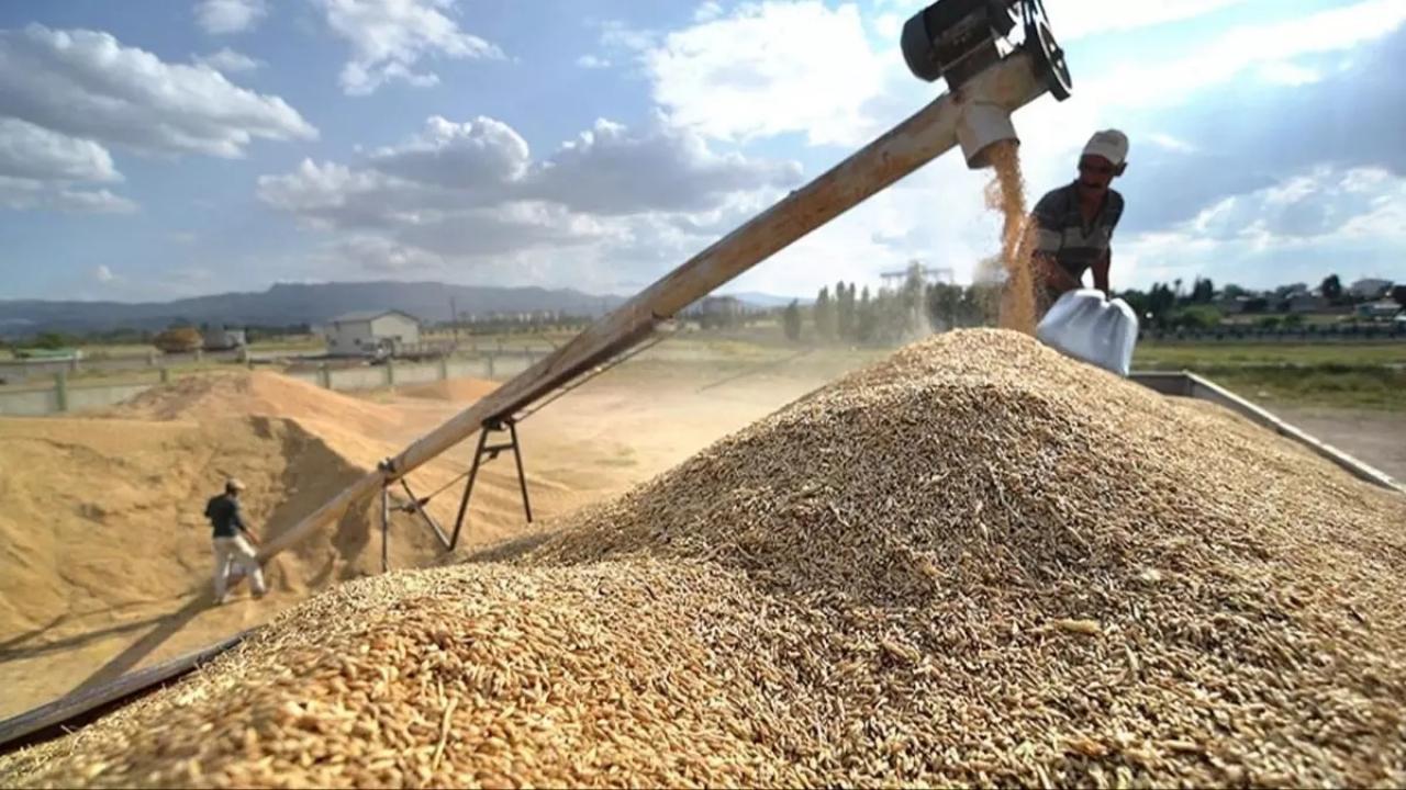 Kocaeli’ndeki patlamanın buğday fiyatlarını yükseltecek mi? Açıklama geldi