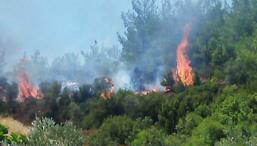 Muğla, Hatay ve Eskişehir’de çıkan orman yangınları kontrol altına alındı