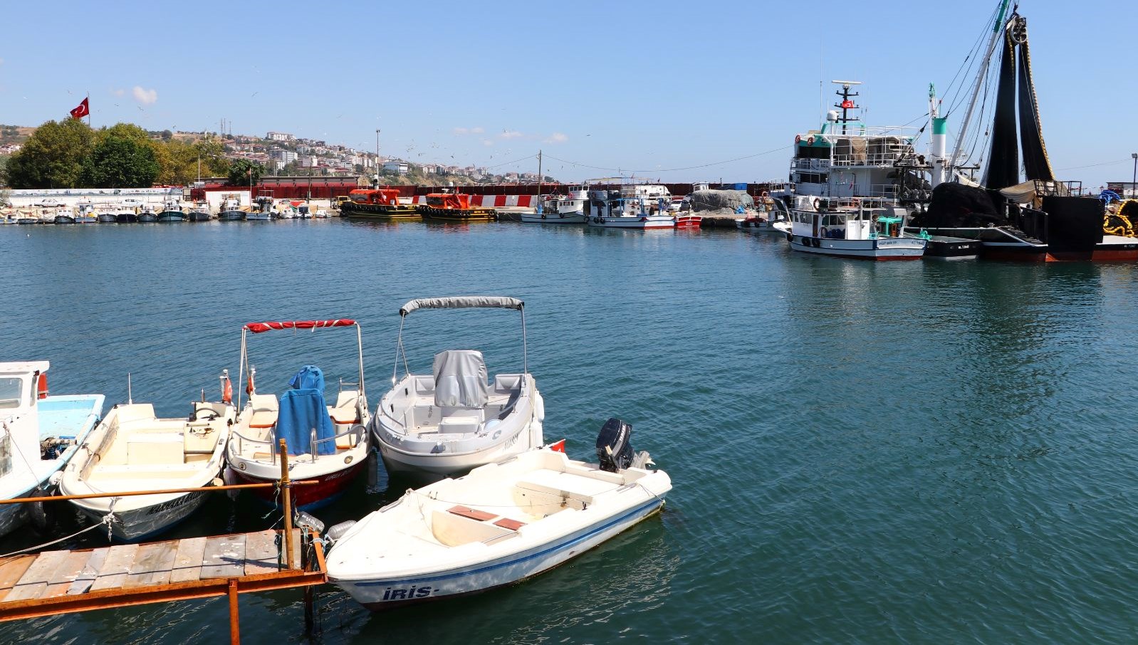 Av yasağı bitiyor: Denizlerde bu yıl palamut az, hamsi bol olacak