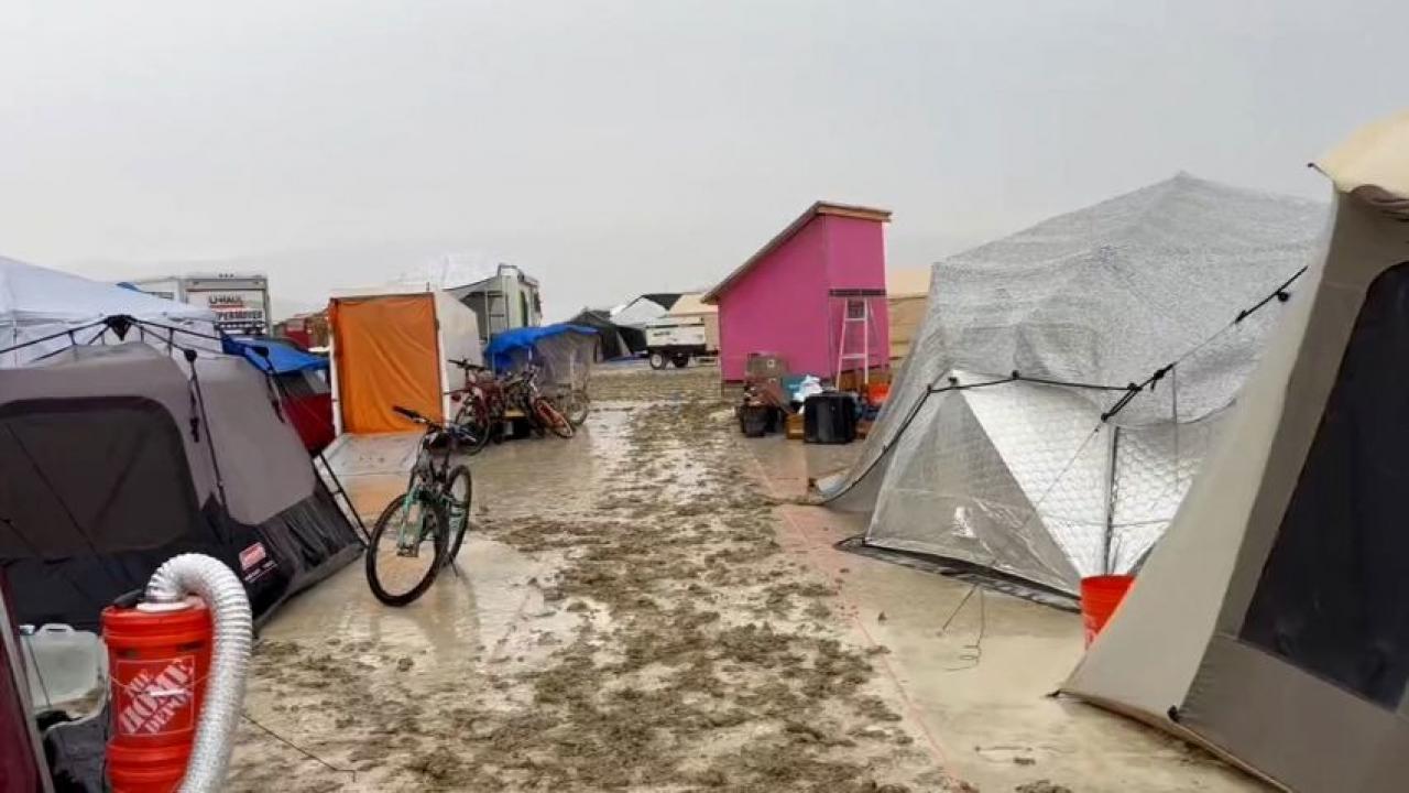 Festival felakete döndü: Binlerce kişi mahsur kaldı, bir kişi hayatını kaybetti