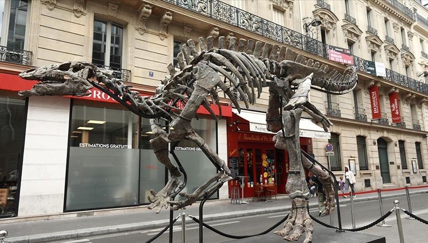Fransa’da 150 milyon yıllık dinozor iskeleti açık artırmayla satılacak