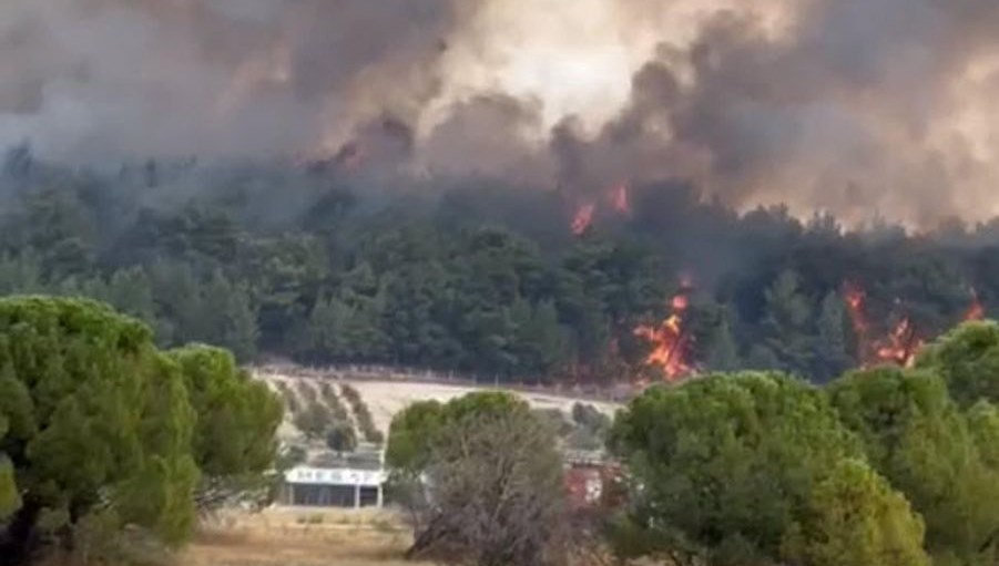 İzmir ve Osmaniye’de orman yangını