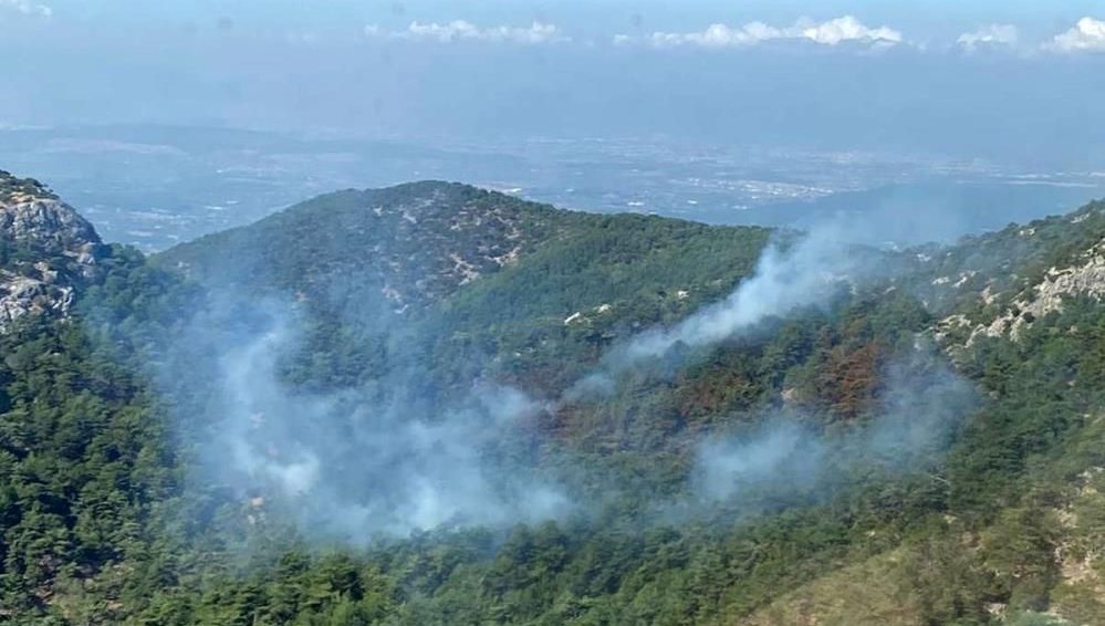 İzmir’de iki noktada orman yangını