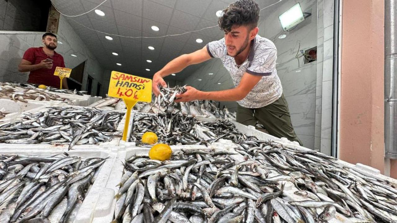 Karadeniz’de hamsi bolluğu: Kilosu 40 TL