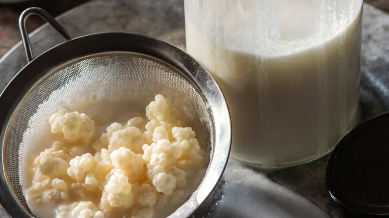 Sabah aç karnına kefir içmenin faydaları nedir? Her gün kefir içmek, laktozsuz kefir…