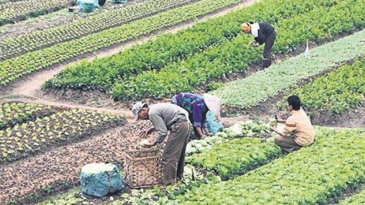 Tarımda yeni dönem resmen başladı