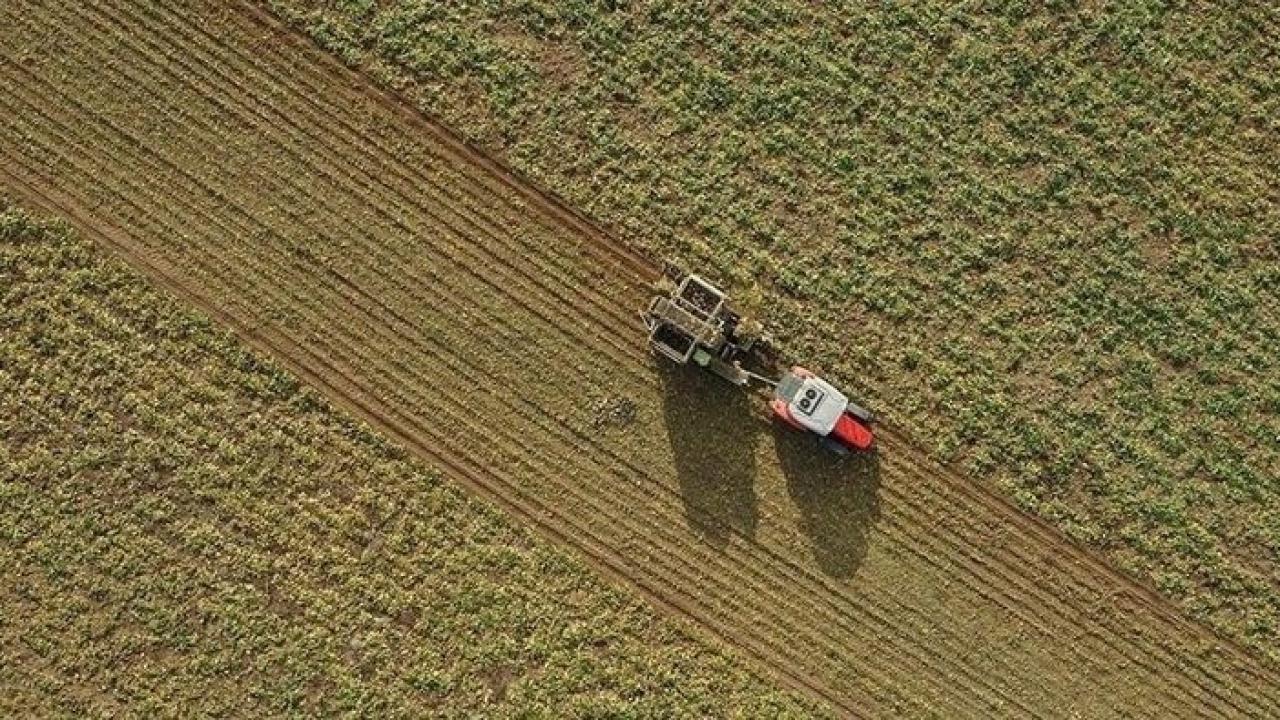 Tarımsal Üretimin Planlanması Kurulu oluşturulacak