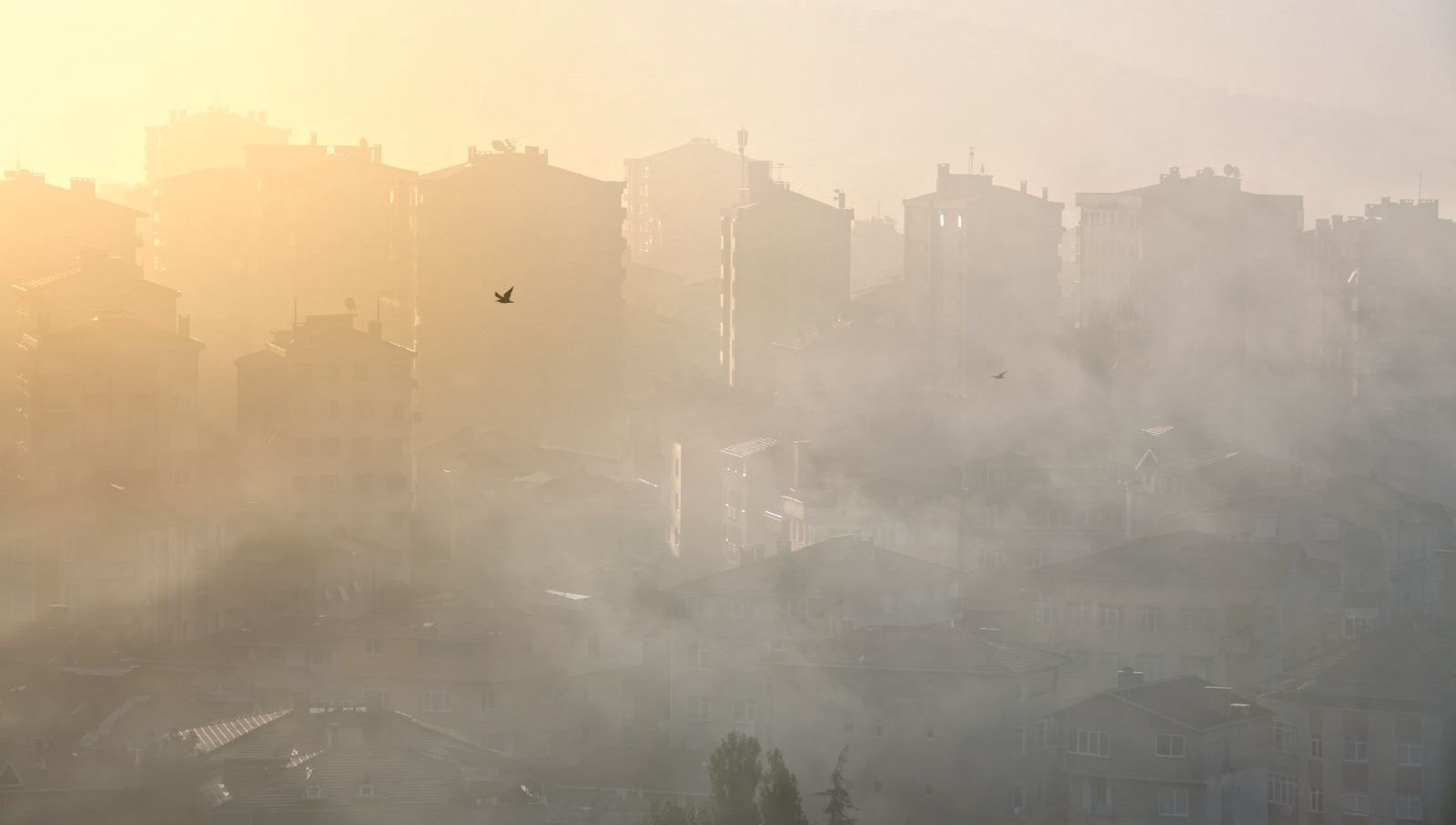 Yılda 400 bin ölüm: Avrupa’da herkes zehirli hava soluyor