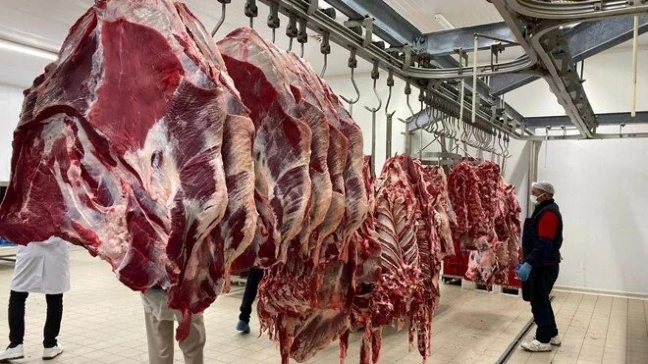 81 ilde gıda denetimleri Türkiye’nin 81 ilinde gıda denetimleri eş zamanlı başladı