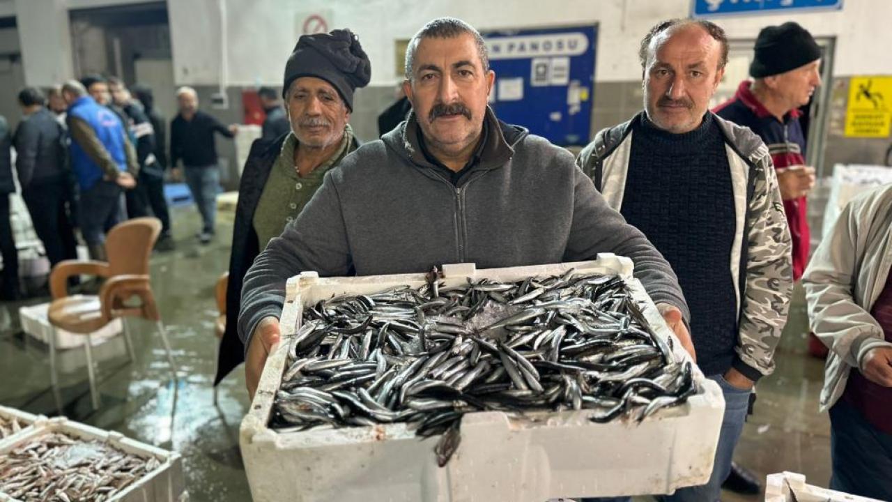 Balık mezadında kasalar dolusu hamsi kapış kapış satıldı