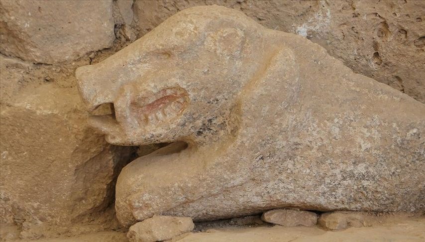 Göbeklitepe’de bulunan yaban domuzu heykeli görüntülendi