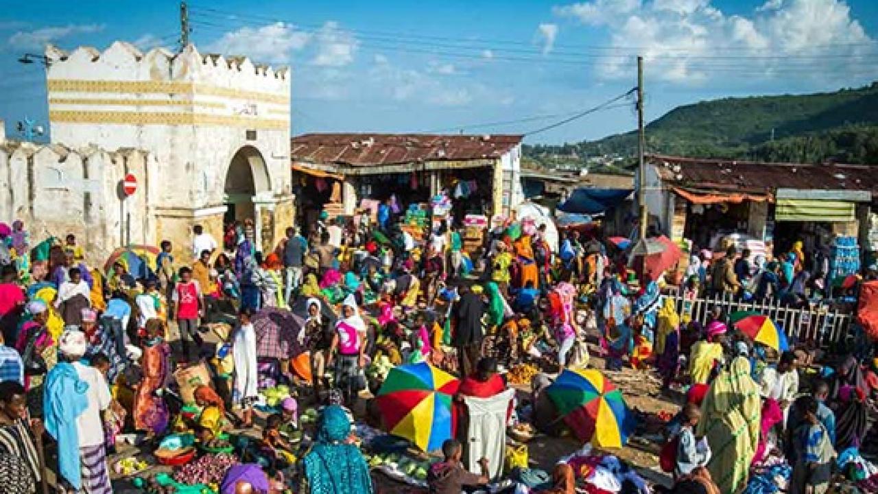 İslam’ın ‘dördüncü kutsal şehri’ Harar’da, Peygamber Efendimizin (S.A.V) doğumu kutlandı