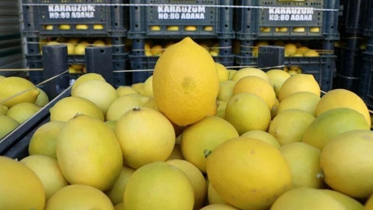 Limonda üretici-market fiyatı farkı 4,5 kat