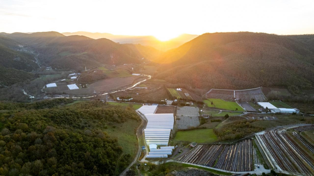 Alova Farm, ABD merkezli Fall Creek ile iş birliği yapıyor