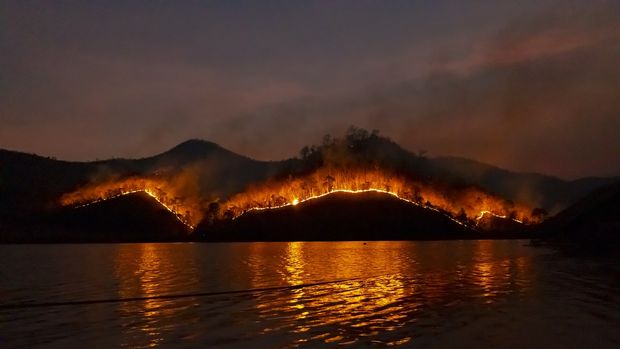 COP28 ile ilgili bilmeniz gerekenler