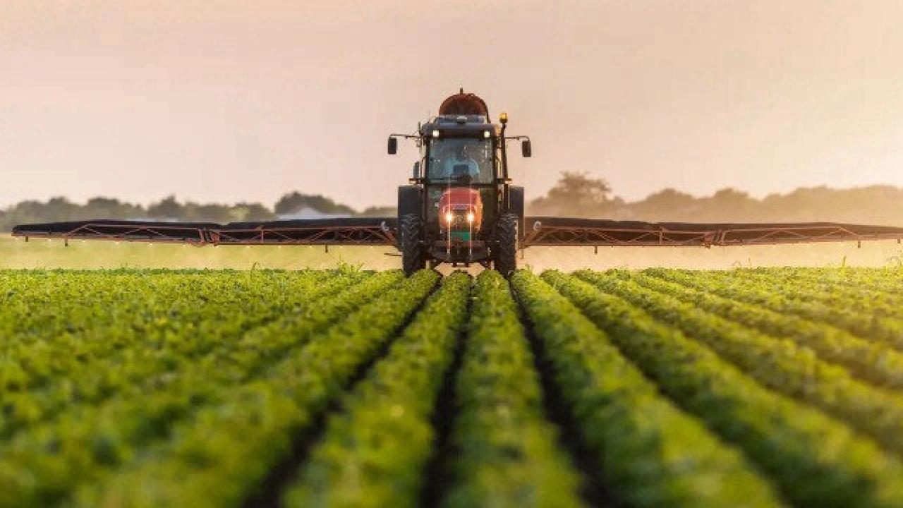 Bakan Yumaklı açıkladı: Tarımda üretim planlaması gelecek yıl hayata geçirilecek