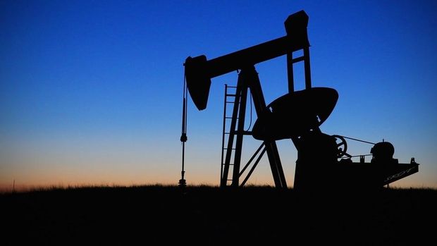 OPEC’in petrol üretimi Irak etkisi ile arttı