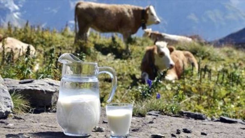 Çiğ süt üretim maliyeti Kasım’da 19,25 TL oldu